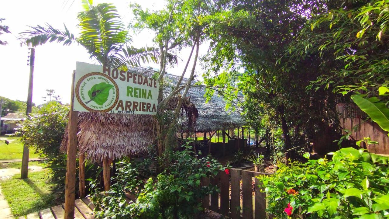Hospedaje Y Tours Reina Arriera Amazonas Colombia Macedonia Eksteriør billede