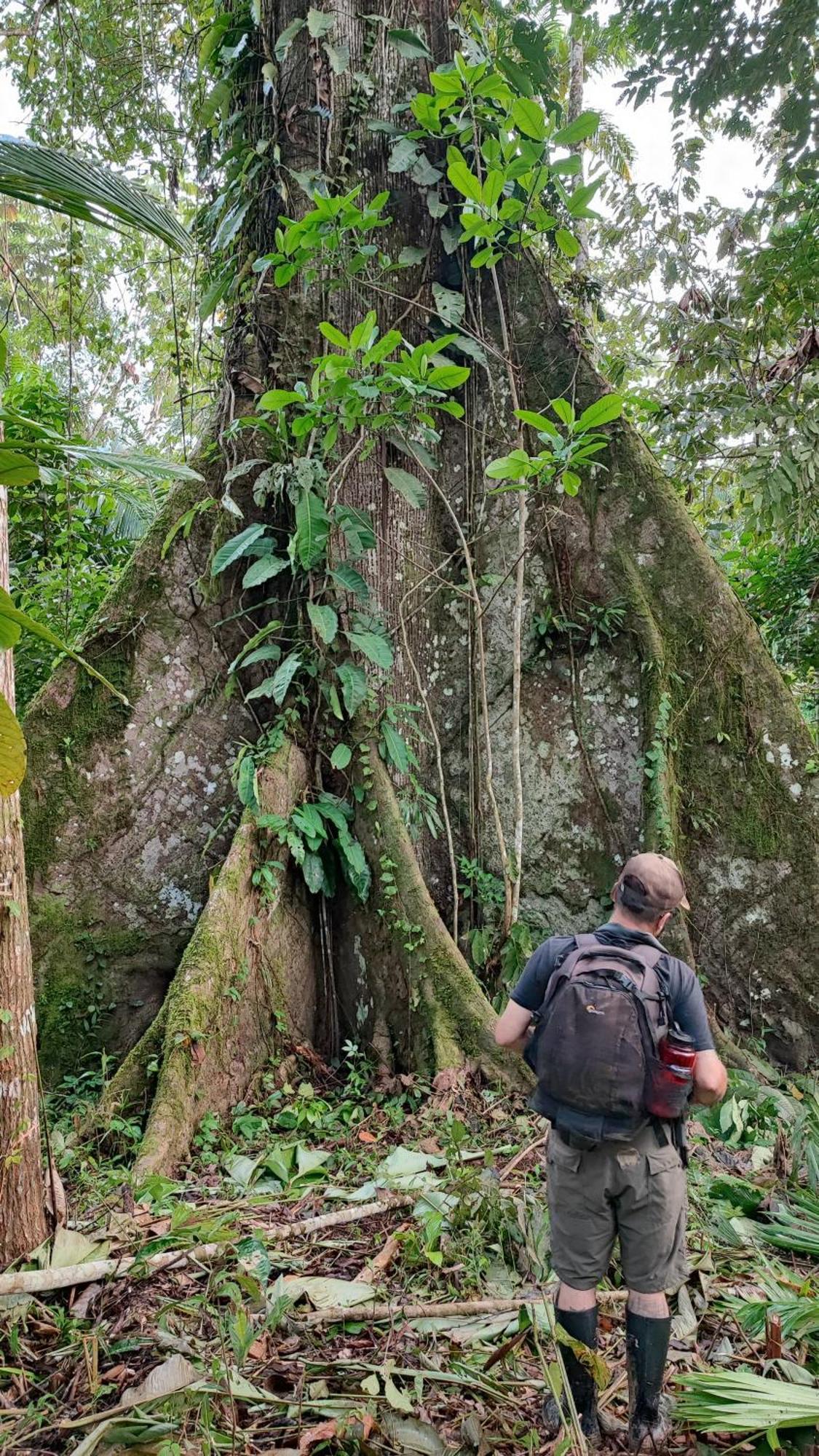 Hospedaje Y Tours Reina Arriera Amazonas Colombia Macedonia Eksteriør billede